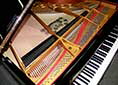 Flügel-Steinway-M-170-schwarz-216916-10-b