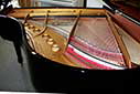 Flügel-Steinway-M-170-schwarz-216916-11-b