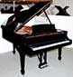 Flügel-Steinway-M-170-schwarz-216916-3-b